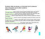 INT_Oiseaux des jardins 2 (1)